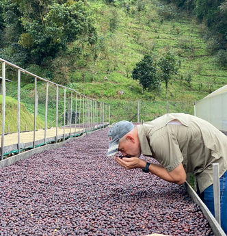 Origin: Panama