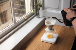 Brewing Guide: Pour Over