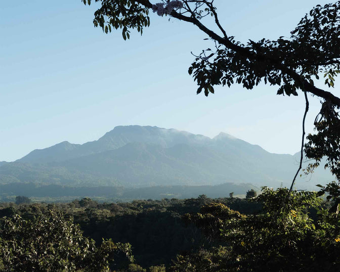 Point of Origin: Panama