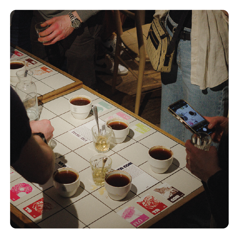 Mió x WatchHouse: Projeto Barra Cupping (LCF 2025)